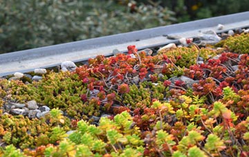 the cost of Hive green roof installation