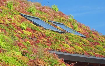 Hive living roof systems